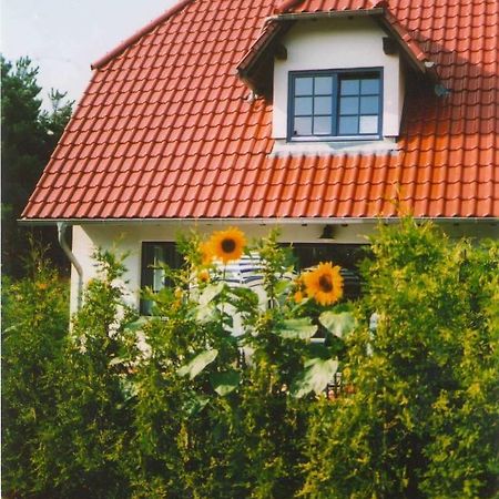 ツィングシュトLindenstr_32Bアパートメント エクステリア 写真